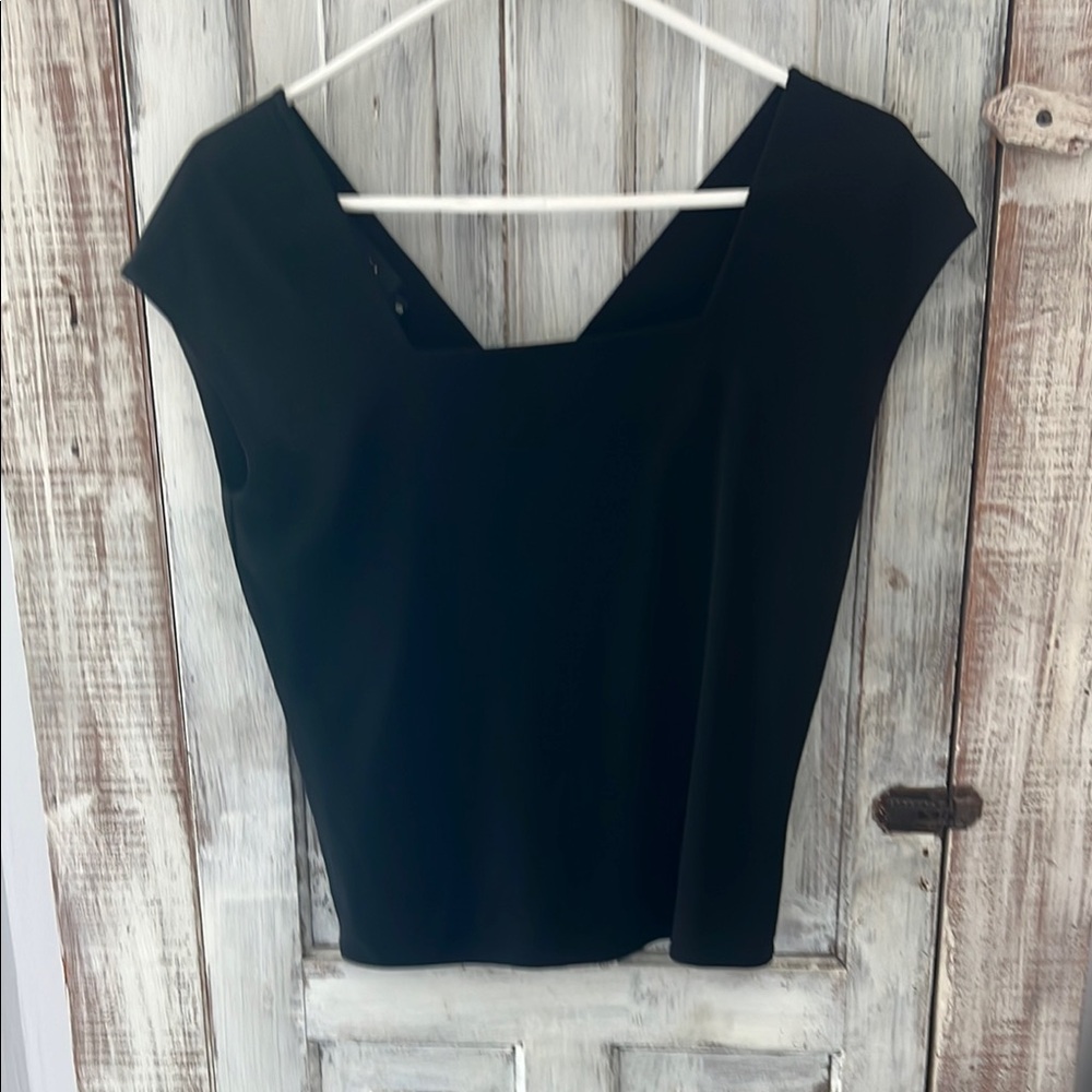 Dana Buchman Asymmetrical Fitted Cap Sleeve Blouse in Black and Blue